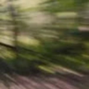 Meet your Posher, Levent